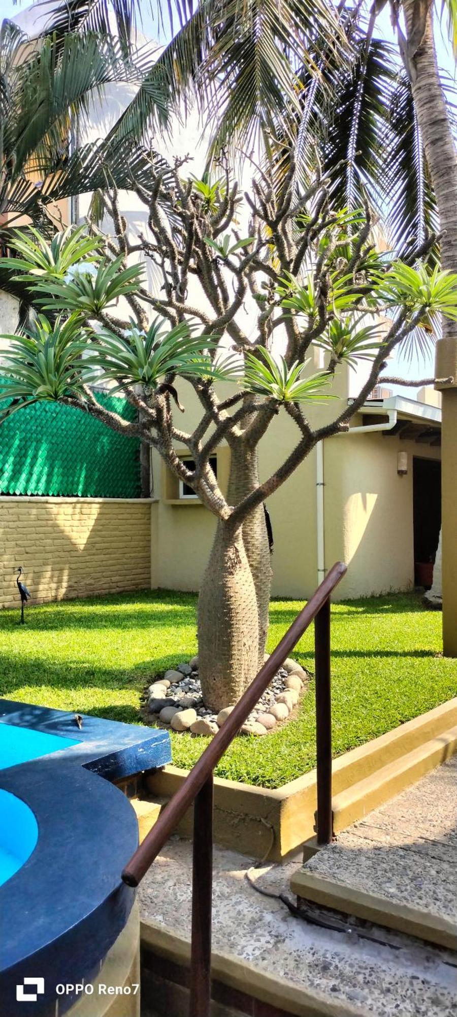 Villas Miramar Zihuatanejo Bagian luar foto